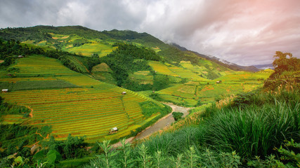 A cottage in the middle of a rice field in Mu Cang Chai, Vietnam