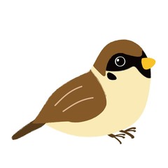 すずめ