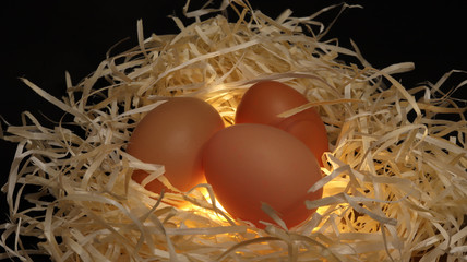 3 brown chicken eggs in nest on dark background