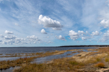 flooded lake shore, overgrown with last year's reeds and bushes, bird migration, beautiful cumulus...