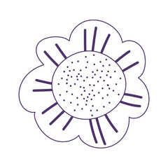 flower petals natural decoration isolated icon on white background line style