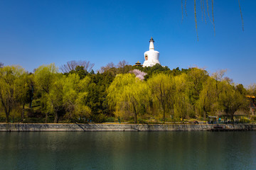 The white tower in Beihai Park, Beijing, China.