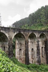 Fototapeta na wymiar The famous nine-arch bridge of the railway in the jungle in Sri Lanka