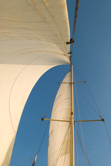 Navigation à la voile : voiles hissées.