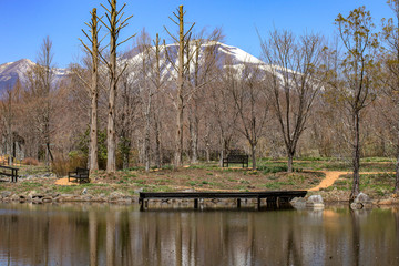 Fototapeta na wymiar 4月の軽井沢　八ヶ岳連峰を臨む湖
