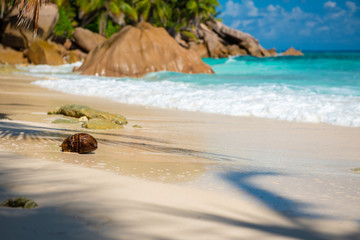 Anse Patates, La Digue - tropical beach on the Seychelles	
