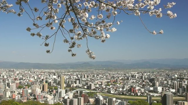 花岡山からみた熊本市街地