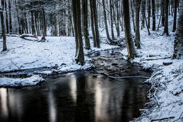 River in the winter forest with snow