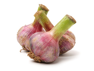 Fototapeta premium Fresh young garlic isolated on white background