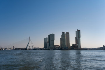 Fototapeta na wymiar Cityscape of Rotterdam, viewing 'de kop van zuid' from the riverside