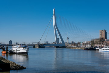 Rotterdam Skyline with Erasmusbrug bridge at sunset in morning in Rotterdam, Netherlands