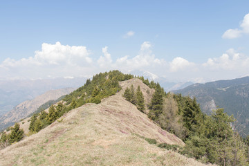 Mountain landscape. Dry grass on slopes with trees, white mountain peaks and clouds on background.