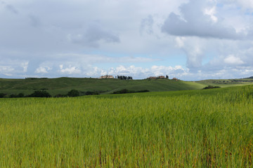 Spring in the fields of Tuscany. 