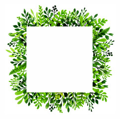 green plants and herbs watercolor illustration - decorative frame for wedding invitations and greeting cards - isolated on white background - wedding decoration and design