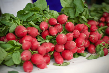 radishes in the market