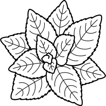 black and white leaves plant clip art preview