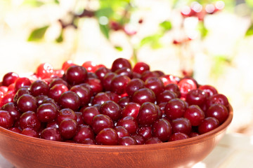 Cherries in a ceramic bowl on a wooden table outdoor. Place for text.