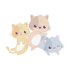 cute little cats hello kawaii cartoon character