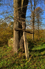 Fototapeta premium Krzyż