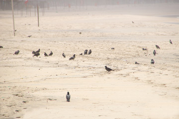 empty copacabana beach during the coronavirus quarantine in Rio de Janeiro.