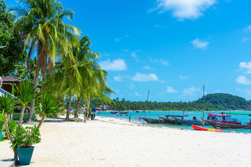 Tropical beach landscape. Perfect white sand, green palm trees and blue water. Travel and relaxation in the tropics