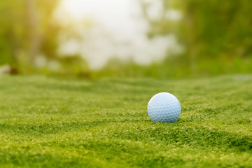 golf ball is on a green lawn in a beautiful golf course