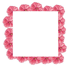 mallow flower, pencil illustration, square frame, buds composition, place for an inscription, blank, postcard, design