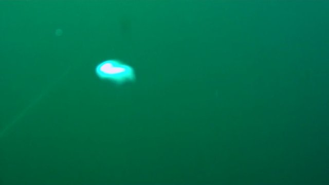 Underwater camera view passes through bubbles exhaled from scuba diver.
