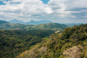 Fototapeta na wymiar Nature and mountains of Sri Lanka