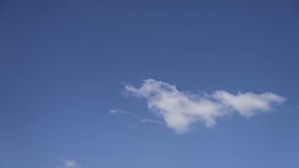 푸른하늘 아래 뭉게구름