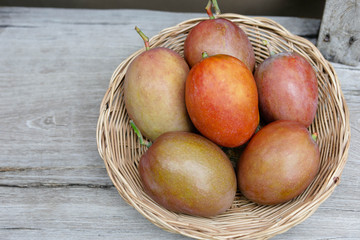 Cute Asian girl with delicious mangoes, A lovely Asian girl with delicious purple mango.