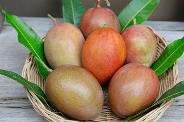 Cute Asian girl with delicious mangoes, A lovely Asian girl with delicious purple mango.