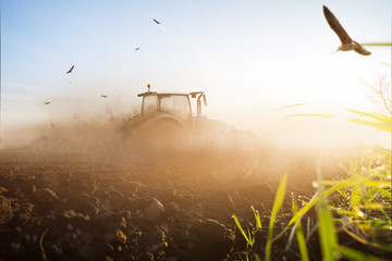 Traktor Landwirtschaft Klima Dürre  - obrazy, fototapety, plakaty