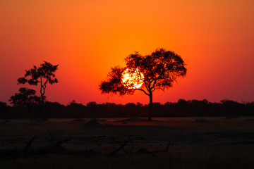 Sunset in Kenya - obrazy, fototapety, plakaty