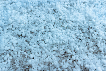grains of hail lie on the surface of the soil after a heavy snowfall, background and texture.2020 trend blue color. Anomaly weather in Russia during quarantine