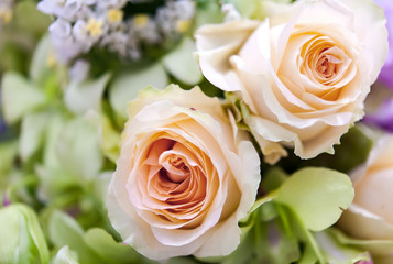 Bouquet of fresh roses, flower bright background.