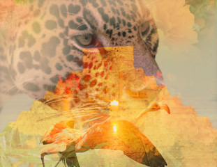 chichenitza pyramid double exposure jaguar on flamingo and sunset © Nailotl