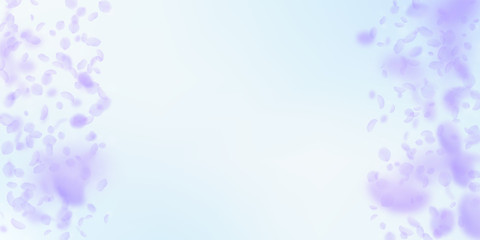 Violet flower petals falling down. Ecstatic romant