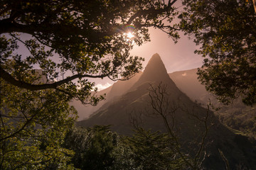 PORTUGAL MADEIRA SERRA DE AGUA LANDSCAPE