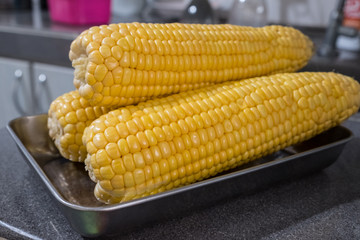 A plate of fresh healthy corns.
