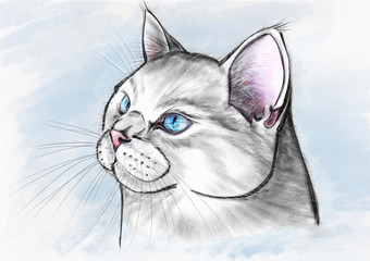 Portrait of my white blue-eyed cat painted by me