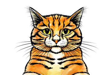 Fototapeta na wymiar Portrait of my red yellow-eyed cat painted by me.
