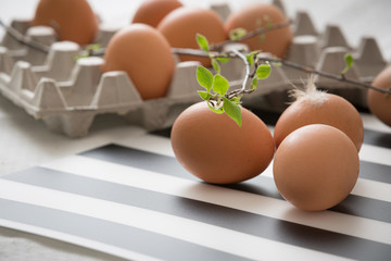 Light brown eggs on a striped background with eggs in a corton box in the background. Sprig with green leaves in the foreground. Selective focus. Preparing for Easter. The beginning of spring.