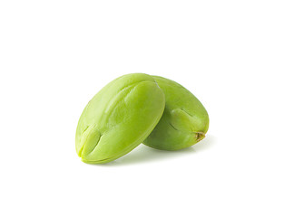 Bitter bean an isolated on white background