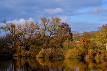 Weinort Sommerach und die Weinberge auf der Weininsel an der Vokacher Mainschleife, Landkreis Kitzingen, Unterfranken, Franken, Bayern, Deutschland