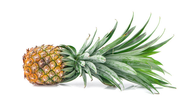 single whole pineapple an isolated on white background