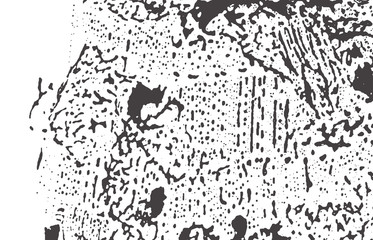 Grunge texture. Distress black grey rough trace. A