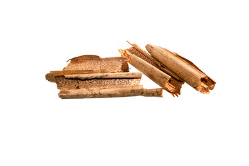 reeds isolated on white background