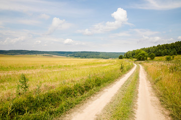 Scenic path in green summer field with blue sky background