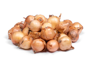 Heap of onion isolated